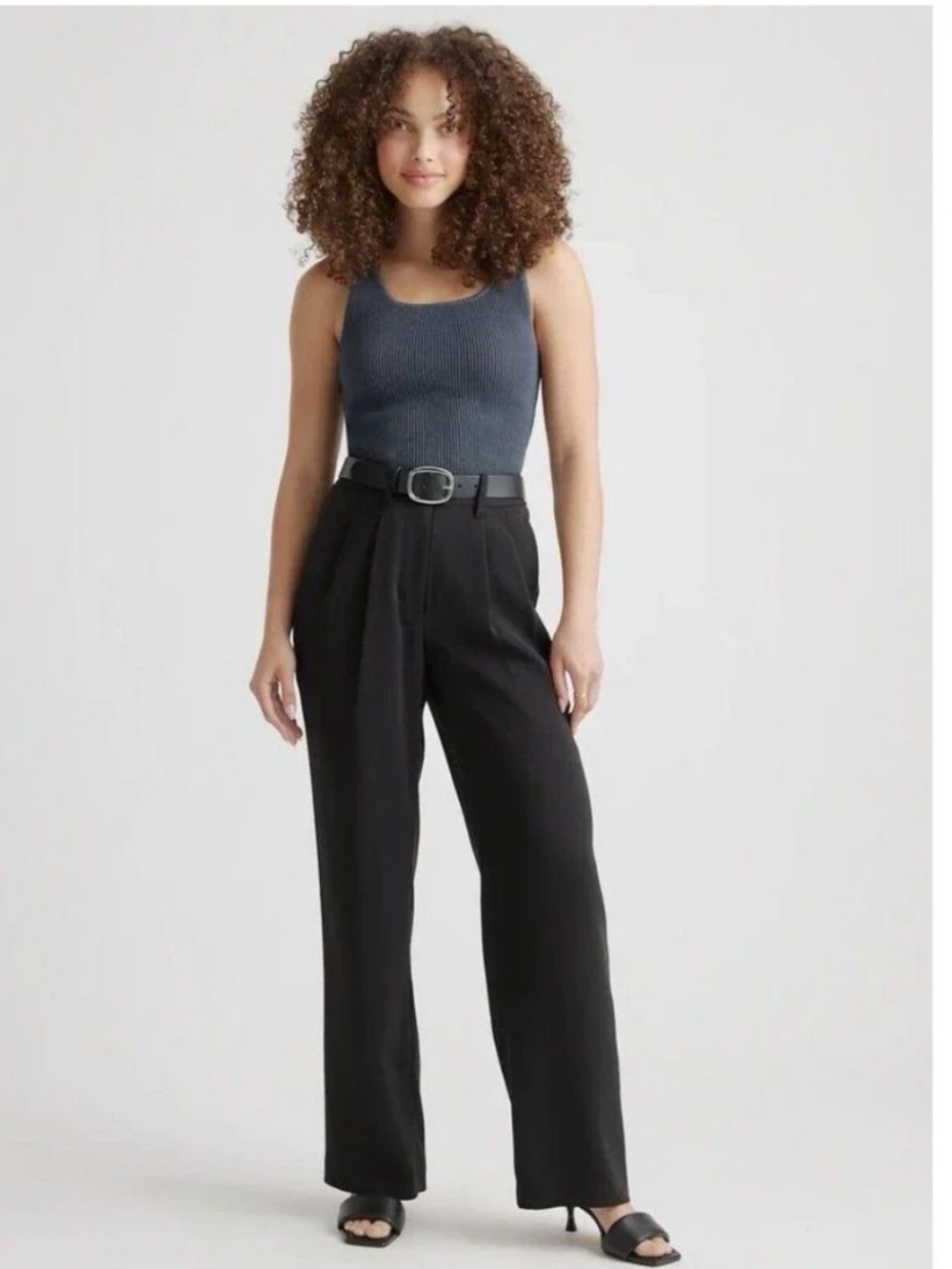 Quince Stretch Crepe Pleated Wide Leg Tailored Business Pants Black Size 8 NWT